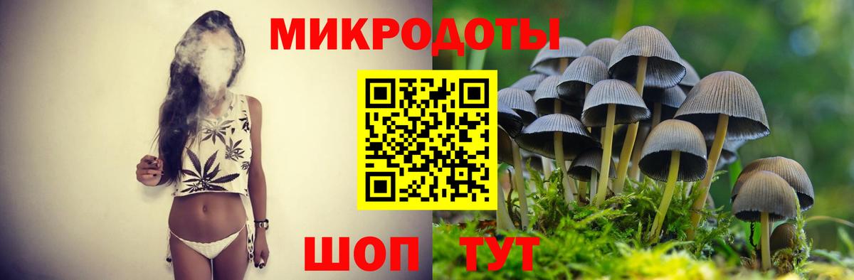 Холмск  Псилоцибиновые грибы Psilocybe  Вход с VPN 